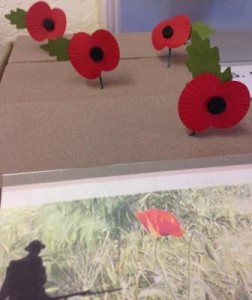 peace poppies - low res