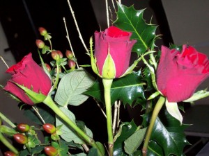 christmas roses and thorns - low res