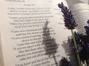 psalm 88